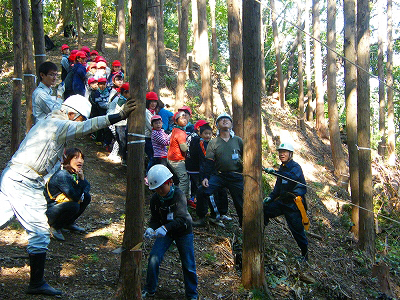 20121030sagawa1 - 佐川急便／子どもたちの「木育」体験教室に社有林を提供