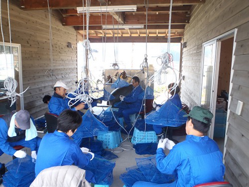 20131120nyk 500x375 - 日本郵船／岩手県3市で震災復興支援のボランティア活動に59人