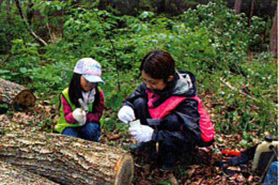 20140620nittsu - 日通／山形県飯豊町「日通の森」で森林育成活動