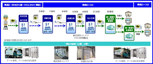 20150318yamato 500x211 - ヤマト運輸／国際クール宅急便、香港に続き台湾へ