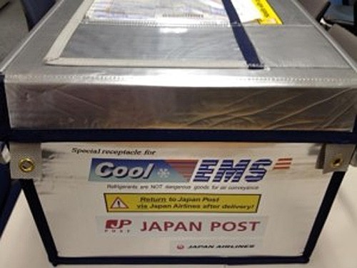 20150319yubinjal 500x375 - 日本郵便、JAL／フランス宛てクールEMSの取扱開始