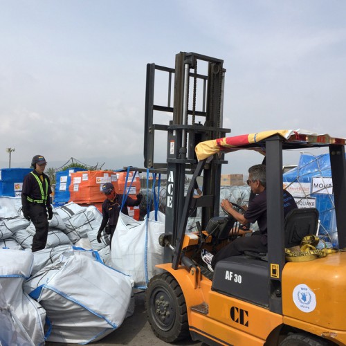 20150520dhl1 500x500 - DHL／ネパール「災害対策チーム」派遣、5月末まで延長