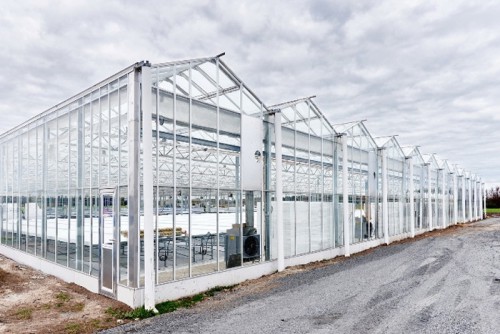 20150717mitsubishij1 500x334 - 三菱樹脂／オーストラリアで太陽光利用型植物工場竣工