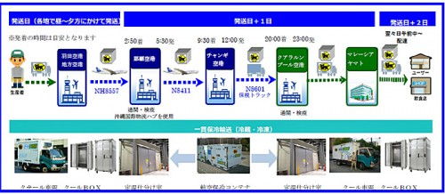 20160323yamato1 500x218 - ヤマト運輸／マレーシア向け「国際クール宅急便」開始