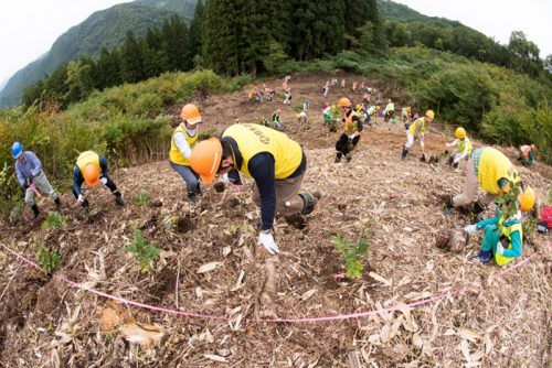 20160926nittsu1 500x334 - 日通／山形県飯豊町の日通の森で10周年目の森林育成活動