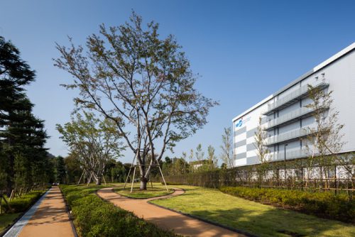 三井不動産/執行役員 ロジスティクス本部 三木孝行本部長 20170203mitsuif3 500x334 - 三井不動産/執行役員 ロジスティクス本部 三木孝行本部長