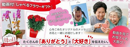 20170313sagawaa1 500x181 - 佐川アドバンス／動画付「しゃべるフラワーギフト」3月13日より販売開始