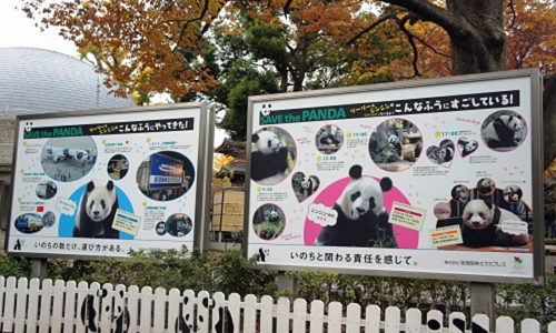 20171205hankyuh2 500x300 - 阪急阪神エクスプレス／上野動物園のパンダ普及啓発ボードリニューアル