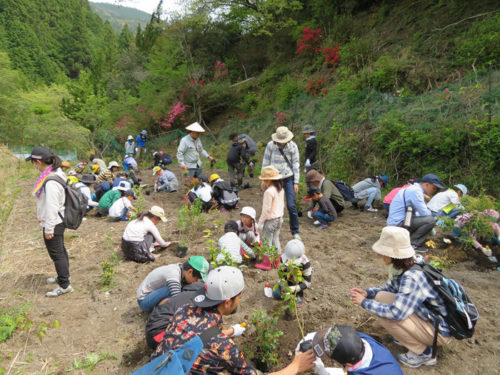 20180523sagawar1 500x375 - 佐川林業／高知県香美市の「さがわの森」で植樹祭