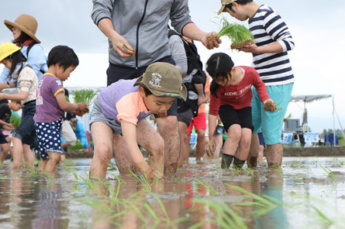 20180606sagawacsr2 500x333 - SGHD／自然体験学習（田植え体験）、5月3日開催