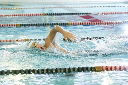 20180704yusenlogi 500x334 - 郵船ロジ／社員の平井彬嗣選手、水泳の日本代表に選出