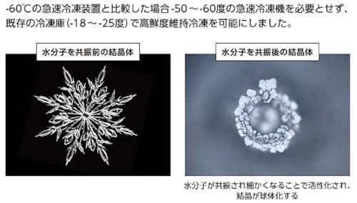 20181226daifuku2 500x284 - 大福など／冷凍保存技術で国産青果物の海外展開加速、業務提携