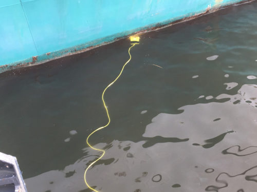 20190219mol3 500x375 - 商船三井／水中ドローンを使用、船底点検に関する実証実験を実施