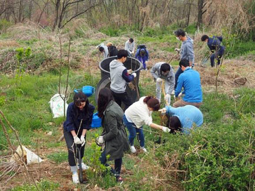 20190517nittsu21 500x374 - 日通／韓国日通がソウル市内で植樹活動を実施
