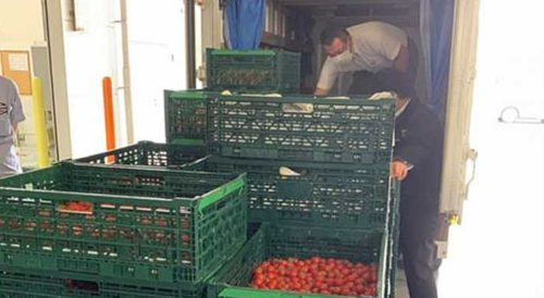 農業総合研究所/佐賀県鳥栖市に農産物の集荷・物流拠点開設 20190620nogyo1 500x274 - 農業総合研究所/佐賀県鳥栖市に農産物の集荷・物流拠点開設