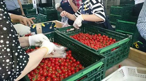 農業総合研究所/佐賀県鳥栖市に農産物の集荷・物流拠点開設 20190620nogyo2 500x278 - 農業総合研究所/佐賀県鳥栖市に農産物の集荷・物流拠点開設