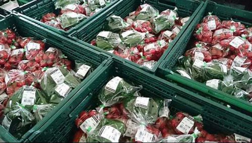 農業総合研究所/佐賀県鳥栖市に農産物の集荷・物流拠点開設 20190620nogyo3 500x285 - 農業総合研究所/佐賀県鳥栖市に農産物の集荷・物流拠点開設