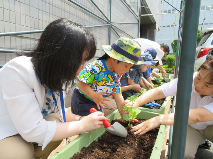 SGムービング/事業所内保育園で苗の植え付けイベントを実施 20190702sgg1 - SGムービング/事業所内保育園で苗の植え付けイベントを実施