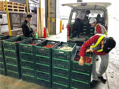農業総合研究所/新千歳空港に農産物集荷拠点を開設 20190718nougyo2 500x374 - 農業総合研究所/新千歳空港に農産物集荷拠点を開設
