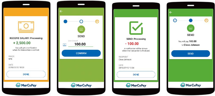 日本郵船/電子通貨の事業会社「MarCoPay」を設立 20190725nyk2 - 日本郵船/電子通貨の事業会社「MarCoPay」を設立