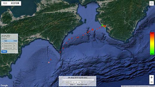 日本郵船/絶滅危惧種アカウミガメの生態を調査 20190819nyk2 520x293 - 日本郵船/絶滅危惧種アカウミガメの生態を調査