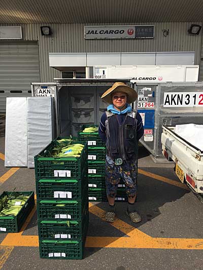 農業総合研究所/旭川空港に農産物の集荷拠点開設 20190828nogyo3 - 農業総合研究所/旭川空港に農産物の集荷拠点開設