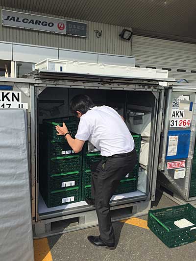 農業総合研究所/旭川空港に農産物の集荷拠点開設 20190828nogyo4 - 農業総合研究所/旭川空港に農産物の集荷拠点開設