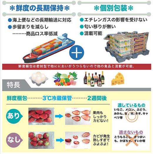 日新/横浜発香港向けの冷蔵混載サービス開始 20190905nisshin 520x522 - 日新/横浜発香港向けの冷蔵混載サービス開始