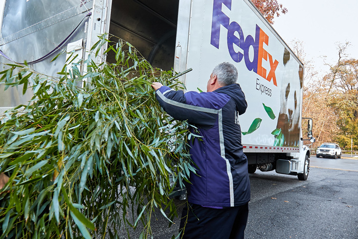 フェデックス/ジャイアントパンダを米国から中国に輸送 20191121fedex4 - フェデックス/ジャイアントパンダを米国から中国に輸送