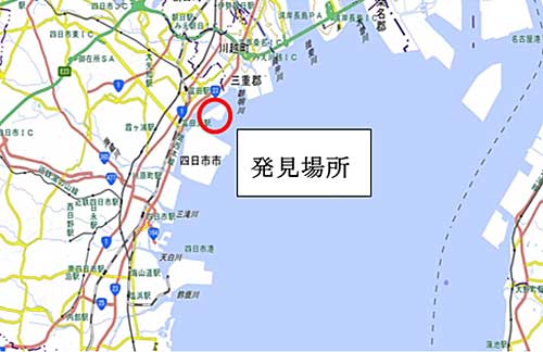 環境省/四日市港で初のヒアリ発見、15都道府県に拡大 20191126hiari1 - 環境省/四日市港で初のヒアリ発見、15都道府県に拡大