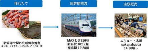 JR東日本スタートアップ/新幹線物流で新潟港から鮮魚輸送 20200114jr 520x183 - JR東日本スタートアップ/新幹線物流で新潟港から鮮魚輸送