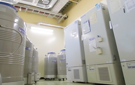 三井倉庫HD/岡山大学と協定、研究成果の社会活用目指す 20200318mitsui1 520x327 - 三井倉庫HD/岡山大学と協定、研究成果の社会活用目指す