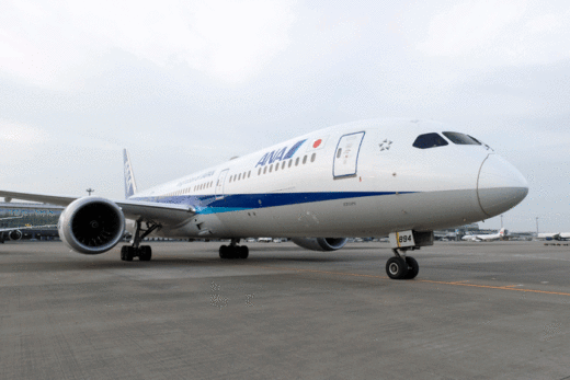 20200422ana1 520x347 - ANA／旅客機の客席へ貨物の搭載を開始、医療関連物資等輸送