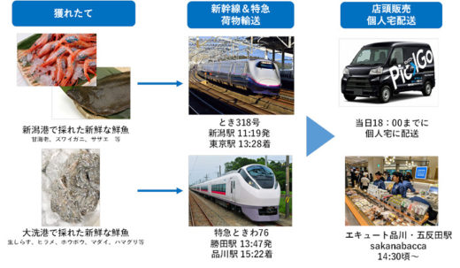 20201016jreast 520x303 - JR東日本／新幹線・特急物流で鮮魚販売、宅配にも対応