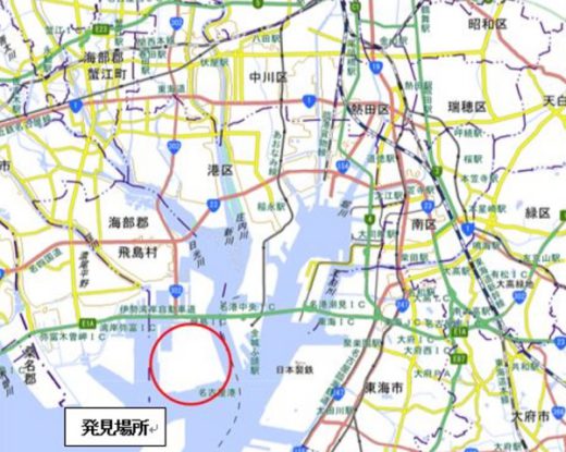 20201021hiari1 520x415 - ヒアリ／名古屋港飛島ふ頭で確認、9月とは別地点