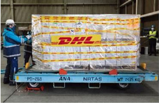 20210219dhlana2 520x337 - ファイザー新型コロナワクチン／DHL、ANAで輸送を開始