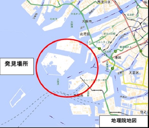 20210716kankyo1 - 環境省／大阪港でヒアリ100匹確認