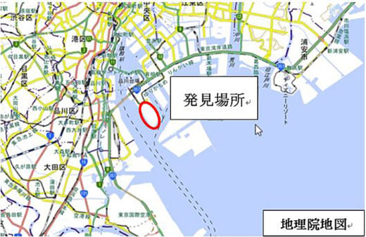 20211025hiari1 520x337 - 環境省／東京港青海ふ頭内でヒアリ約50個体を確認