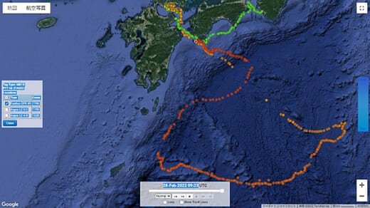 20220329nyk2 520x292 - 日本郵船／紀州みなべのアカウミガメ調査を実施