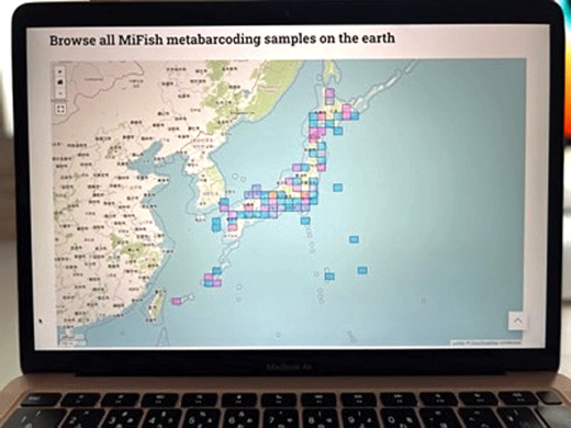 20220602NY1 520x390 - 東北大学と日本郵船等4者／環境DNAを用いたビッグデータ運用開始