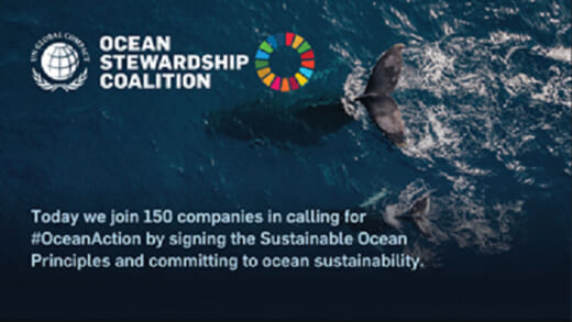 20220628nyk 520x293 - 日本郵船／国連の持続可能な海洋原則に賛同