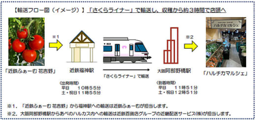 20220629kintetsu1 520x244 - 近鉄グループ／新鮮野菜輸送を宅配便からさくらライナーに変更