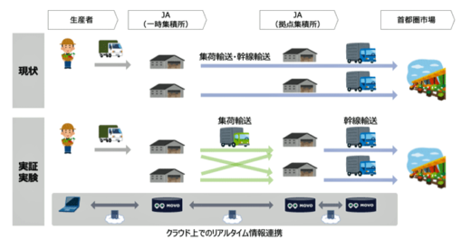 20220825hacobu3 1 520x265 - Hacobu／首都圏向け青果物の物流効率化実証に2年連続で参画