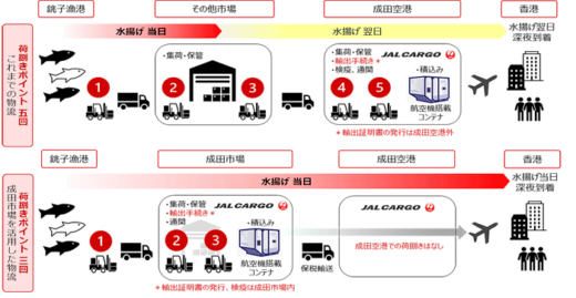 20221221jal2 520x269 - JAL／国内初、生鮮航空貨物のワンストップ物流を成田市場で構築