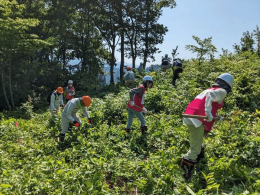 20230626nx2 520x390 - NXHD／山形県「 NXグループの森」で夏の森林育成活動