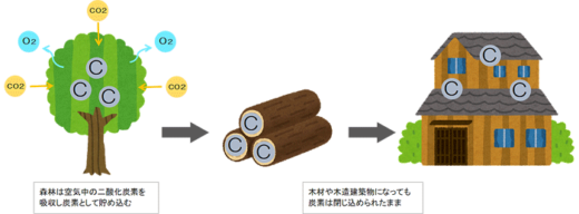 20230705sinozaki4 520x192 - 篠崎運送／国内初の環境配慮型「木造」倉庫が岩手に完成