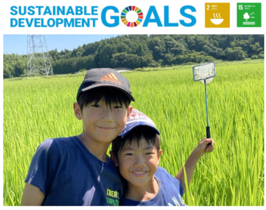 20230804sbszentu 520x411 - SBSゼンツウ／SDGsへ取り組み、里山の魅力を取り戻す活動支援