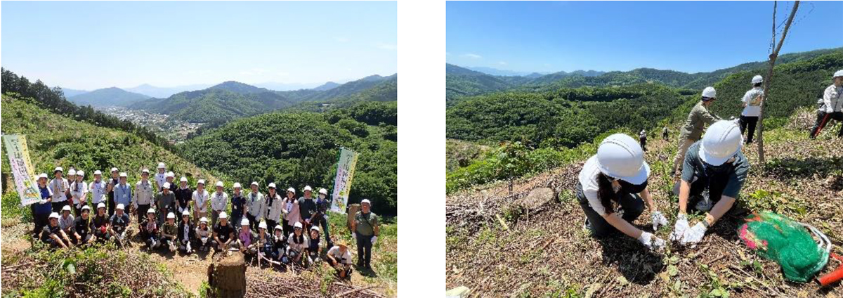 20240522iinokaiun1 - 飯野海運／埼玉県長瀞町で2年目の植林イベント