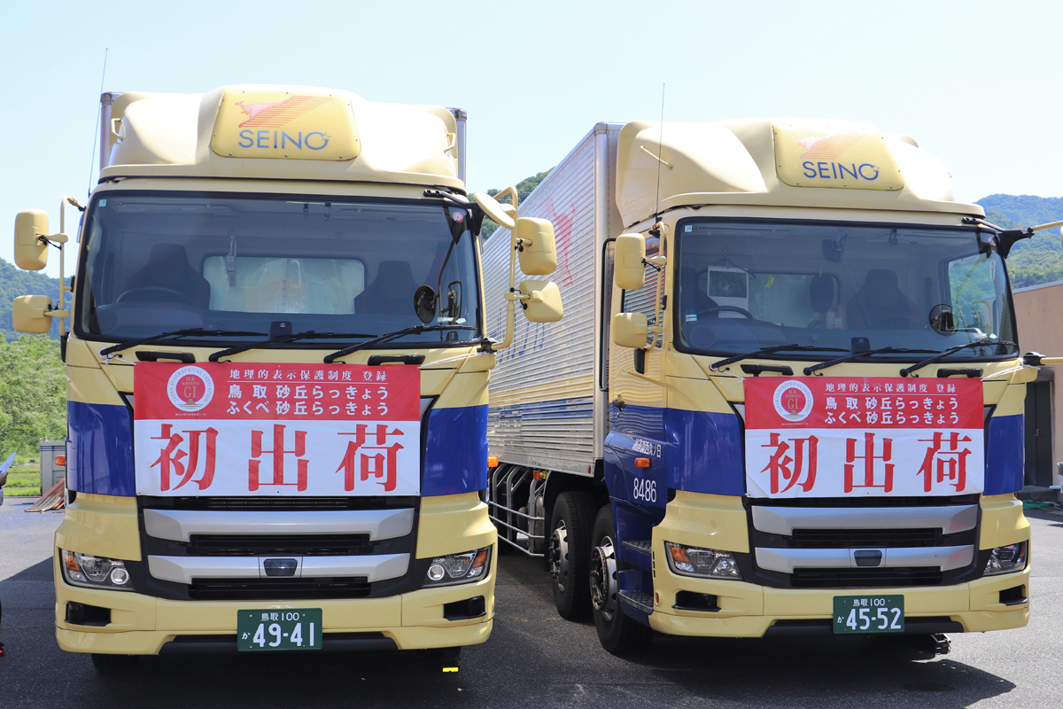 20240527seino - セイノーHD／鳥取で「砂丘らっきょう」初荷出発式に参加