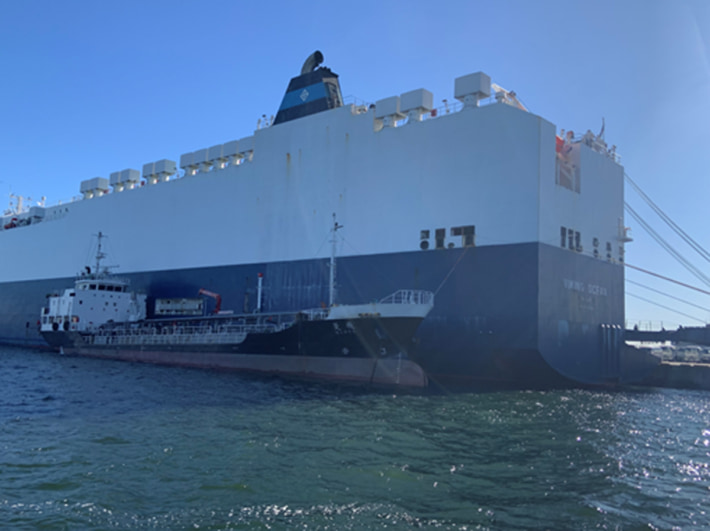 20241219KLINE01 710x531 - 川崎汽船／国内初となる舶用バイオ燃料供給、84％のCO2削減見込み